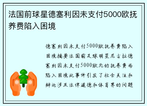 法国前球星德塞利因未支付5000欧抚养费陷入困境